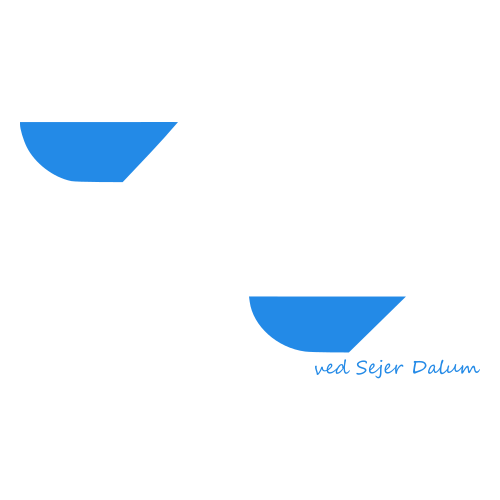 Team Sejer Dalum